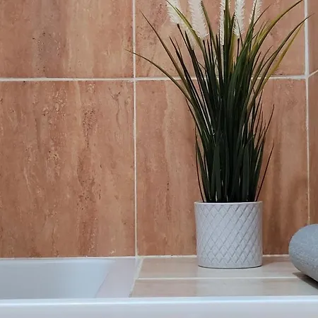 アパート In Malaga Sun & トレモリノス