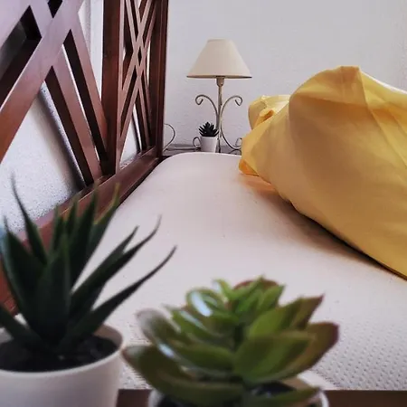 公寓 Carihuela Family Apartment 2 Bedrooms & Terrace 托雷莫利诺斯