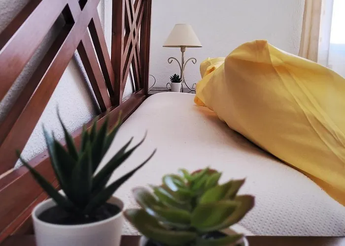 Apartment In Malaga Sun & Torremolinos