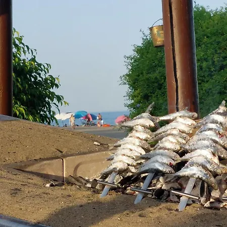 In Málaga Sun&beach *